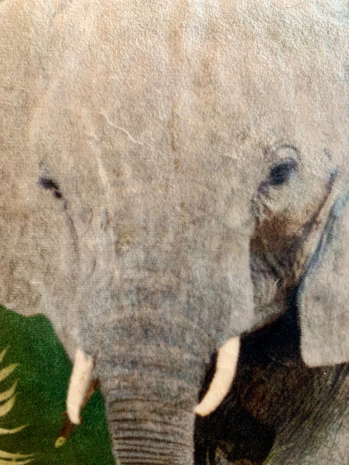 Elephant tropical Velvet Toiletry / Wash Bag