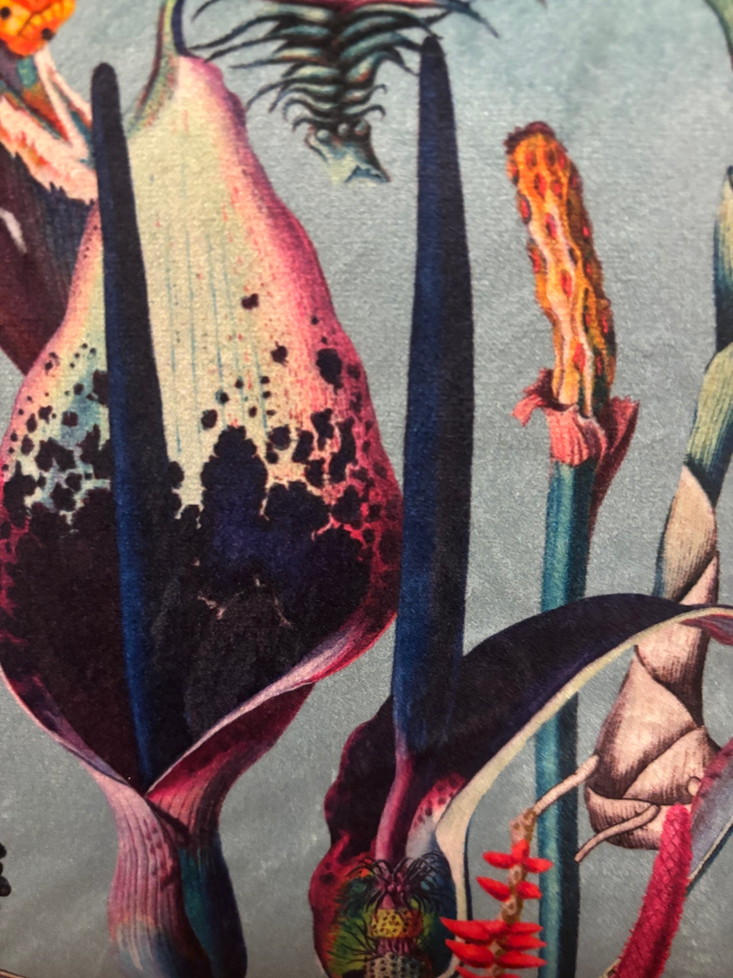 Duck egg blue velvet botanical print wash bag /storage